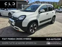 Usata Fiat Panda Cross Cross 70 CV (51 kW) 2024 Bianco Utilitaria