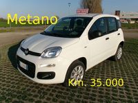 Usata Fiat Panda Easy 71 CV (52 kW) 2020 Bianco Utilitaria