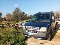 Usata Fiat Doblò 136 CV (100 kW) 2023 Monovolume