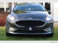 Usata Ford Fiesta 86 CV (63 kW) 2018 Grigio Utilitaria