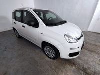 usata Fiat Panda 3ª serie 1.0 FireFly S&S Hybrid