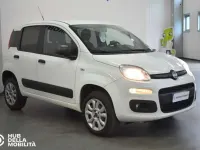 Usata Fiat Panda 4x4 Pop 84 CV (61 kW) 2019 Bianco Utilitaria