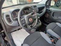 usata Fiat Panda 1.2 69cv