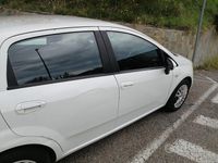 Usata Fiat Punto Evo 65 CV (47 kW) 2011 Utilitaria