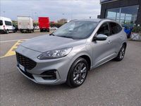 Usata Ford Kuga ST-Line X 225 CV (165 kW) 2023 Argento SUV