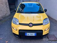 Usata Fiat Panda 2024 Giallo Berlina