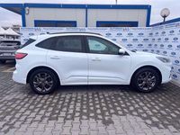 Usata Ford Kuga ST-Line X 224 CV (164 kW) 2020 Bianco SUV