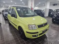 Usata Fiat Panda Emotion 60 CV (44 kW) 2006 Verde Utilitaria