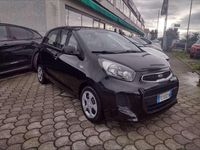 Usata Kia Picanto City 68 CV (50 kW) 2016 Nero Utilitaria