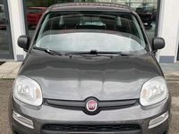 Usata Fiat Panda Easy 69 CV (50 kW) 2018 Grigio Utilitaria