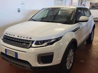 Usata Land Rover Range Rover evoque Pure 150 CV (110 kW) 2016 Bianco SUV