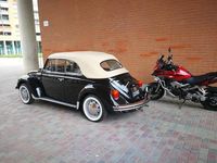 Usata VW Beetle 34 CV (25 kW) 1983 Utilitaria