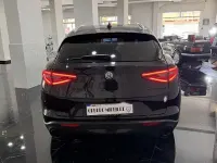 Usata Alfa Romeo Stelvio Lusso 210 CV (154 kW) 2019 Other SUV