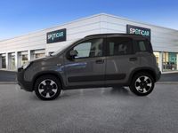 usata Fiat Panda Cross 1.0 FireFly 70cv S&S Hybrid