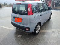 Usata Fiat Panda 70 CV (51 kW) 2021 Utilitaria