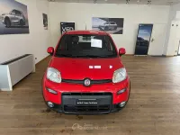 Usata Fiat Panda Sport 69 CV (50 kW) 2022 Rosso Utilitaria