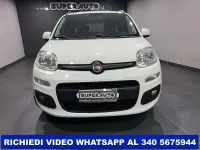Usata Fiat Panda Lounge 95 CV (69 kW) 2017 Bianco Utilitaria