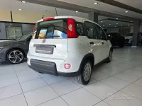 Usata Fiat Panda S 69 CV (50 kW) 2024 Bianco Utilitaria