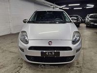 Usata Fiat Punto Evo Young 75 CV (55 kW) 2014 Grigio Utilitaria