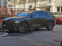 usata Lexus NX350h premium 4wd