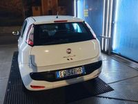 Usata Fiat Punto Evo 2013 Bianco Utilitaria