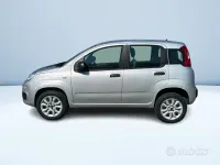 Usata Fiat Panda Lounge 70 CV (51 kW) 2020 Utilitaria