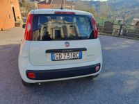 Usata Fiat Panda Easy 69 CV (50 kW) 2020 Bianco Utilitaria
