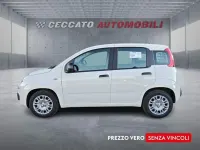 Nuova Fiat Panda Icon 65 CV (47 kW) 2026 Bianco Utilitaria