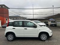Usata Fiat Panda S 70 CV (51 kW) 2023 Bianco Utilitaria