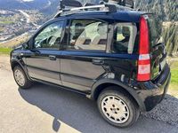 Usado Fiat Panda 4x4 Climbing 60 CV (44 kW) 2007 Utilitario