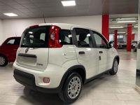 usata Fiat Panda 1.0 Hybrid City Life 5p