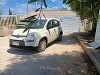 Usata Fiat Panda 71 CV (52 kW) 2024 Bianco Utilitaria