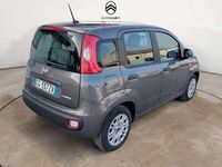 Usata Fiat Panda 69 CV (50 kW) 2021 Grigio Utilitaria