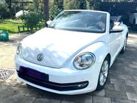 usata VW Maggiolino Cabrio 1.6 tdi Design 105cv dsg