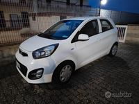 Usata Kia Picanto 2013 Bianco Utilitaria