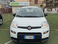 Usata Fiat Panda City Life 69 CV (50 kW) 2024 Bianco Utilitaria