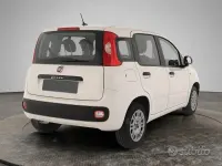 Usata Fiat Panda Easy 69 CV (50 kW) 2020 Bianco Utilitaria