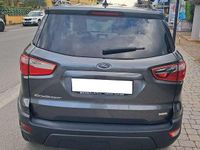 Usata Ford Ecosport Titanium 125 CV (91 kW) 2018 Grigio SUV