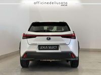 Usata Lexus UX 250h Business Edition 184 CV (135 kW) 2021 Other SUV