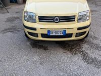 Usata Fiat Panda 2009 Utilitaria