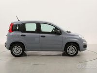 Usata Fiat Panda Easy 69 CV (50 kW) 2020 Grigio Utilitaria