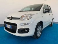 usata Fiat Panda - 1.2cc "EURO6" 70cv - 74.000 km - NEOPATENTATO