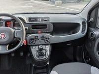 usata Fiat Panda 1.0 firefly hybrid s