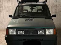 Usata Fiat Panda 4x4 Trekking 54 CV (39 kW) 2002 Verde Utilitaria