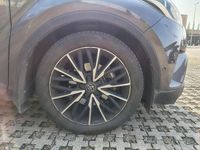 Usata Toyota C-HR Lounge 122 CV (89 kW) 2018 Marrone SUV