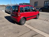 Usata Fiat Panda Climbing 60 CV (44 kW) 2009 Rosso Utilitaria