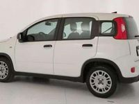 Usata Fiat Panda 69 CV (50 kW) 2021 Bianco gelato pastello extra Utilitaria