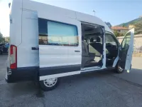 Usata Ford Transit 231 CV (169 kW) 2020 Bianco Furgone