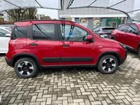 Usata Fiat Panda Cross Cross 69 CV (50 kW) 2024 Rosso Utilitaria