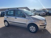 usata Fiat Panda 1.2 Alessi usato